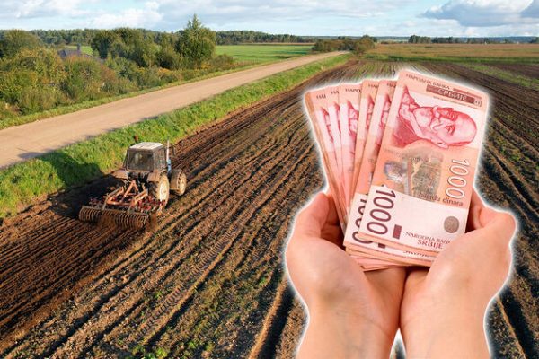 Record Breaking Farmland Prices in Serbia: One Hectare Sold for Over 500,000 Euros!