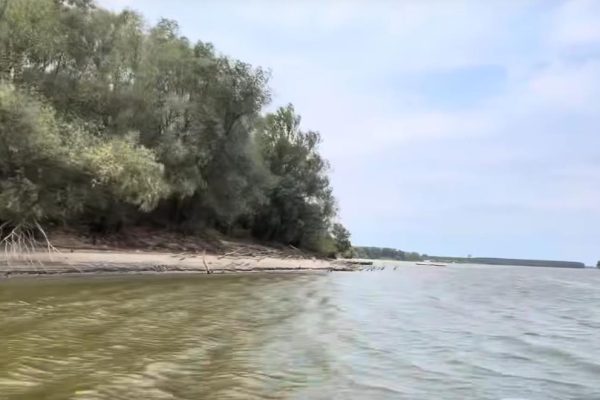 Plaža Ko Čeng kod Sremskih Karlovaca: Srpski Tajland za bežanje od gradske gužve