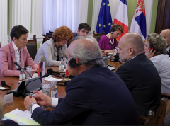 Ana Brnabić i francuski parlamentarci: Srpski narod na Kosovu pod pritiskom, a Europa šuti!