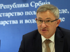 Srbija ima dovoljno strateških proizvoda, ali je li to stvaran razlog za opuštanje?