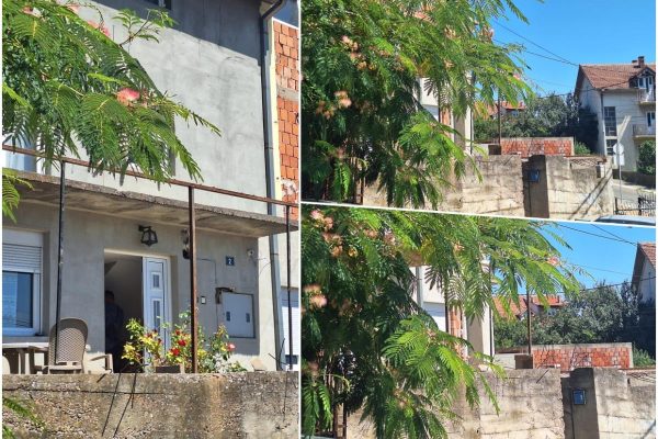 Strašno ubojstvo u Kaluđerici: Lažni invalid i nasilnik koji je godinama terorizirao obitelj