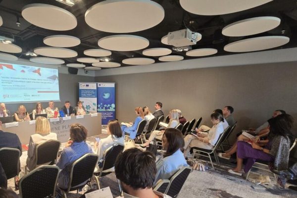 Crna Gora i Zeleni Vodik: Energija Budućnosti ili Još Jedna Prazna Priča?