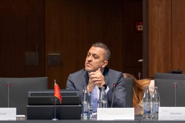 Crnogorski BDP Raste Brže od EU: Je li Ovo Kraj Ekonomske Krize ili Samo Privremeni Uspon?